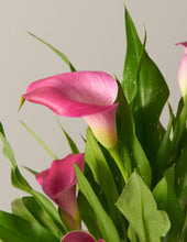 Load image into Gallery viewer, Calla Lily