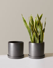 Load image into Gallery viewer, Hyde Planter
