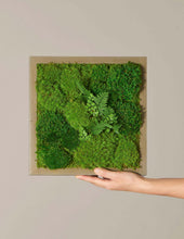 Load image into Gallery viewer, Mini Preserved Living Wall
