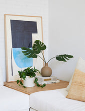Load image into Gallery viewer, The Monstera Duo