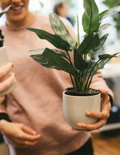 Load image into Gallery viewer, Plant Parent Club