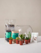 Load image into Gallery viewer, DIY Terrarium Kit