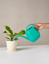 Load image into Gallery viewer, Watering Can
