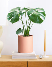 Load image into Gallery viewer, Burbank Planter
