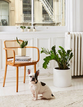 Load image into Gallery viewer, Burbank Fiberglass Floor Planter

