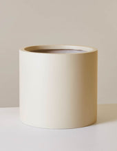 Load image into Gallery viewer, Burbank Fiberglass Floor Planter
