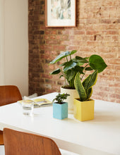 Load image into Gallery viewer, Calvert Planter
