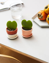 Load image into Gallery viewer, Ezra Planter
