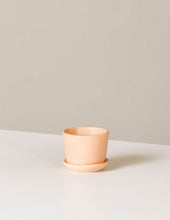 Load image into Gallery viewer, Ezra Planter
