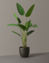 Load image into Gallery viewer, Faux Bird of Paradise
