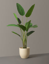 Load image into Gallery viewer, Faux Bird of Paradise
