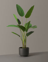Load image into Gallery viewer, Faux Bird of Paradise
