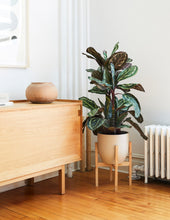 Load image into Gallery viewer, Faux Calathea Medallion
