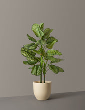 Load image into Gallery viewer, Faux Calathea Orbifolia
