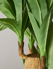 Load image into Gallery viewer, Faux Dracaena
