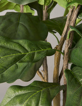 Load image into Gallery viewer, Faux Fiddle Leaf Fig Tree
