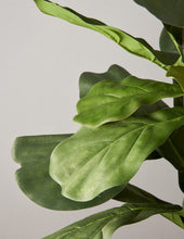 Load image into Gallery viewer, Faux Fiddle Leaf Fig Tree
