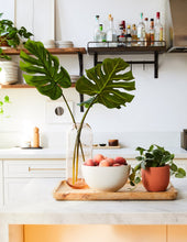 Load image into Gallery viewer, Faux Monstera Leaves Trio

