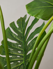 Load image into Gallery viewer, Faux Monstera
