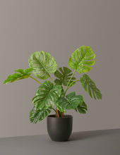 Load image into Gallery viewer, Faux Monstera
