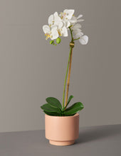 Load image into Gallery viewer, Faux Orchid Phalaenopsis
