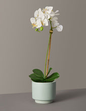 Load image into Gallery viewer, Faux Orchid Phalaenopsis
