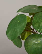 Load image into Gallery viewer, Faux Pilea Peperomioides
