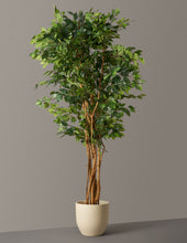 Load image into Gallery viewer, Faux Weeping Ficus Tree
