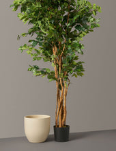 Load image into Gallery viewer, Faux Weeping Ficus Tree

