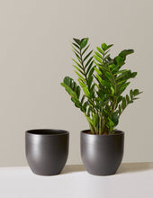 Load image into Gallery viewer, Grant Planter
