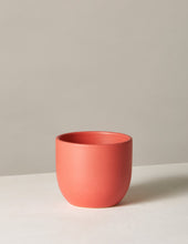 Load image into Gallery viewer, Grant Planter
