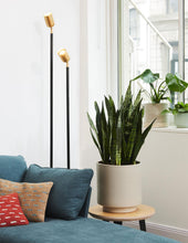 Load image into Gallery viewer, High Line Planter
