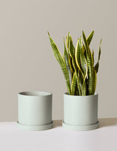 Load image into Gallery viewer, Hyde Planter
