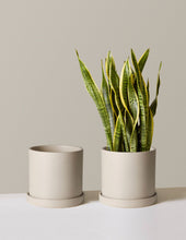 Load image into Gallery viewer, Hyde Planter

