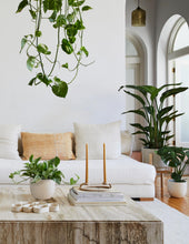 Load image into Gallery viewer, The Monstera Duo
