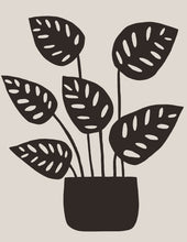 Load image into Gallery viewer, Monstera Obliqua No. 1 Print
