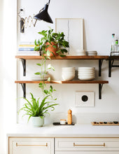 Load image into Gallery viewer, Prospect Planter
